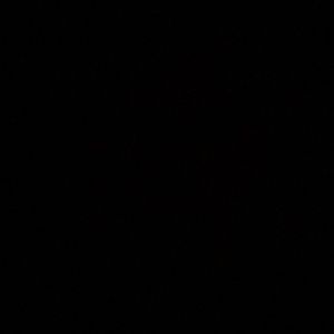 Meet your Posher, Darius